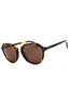 621273 - Shiny Dark Tortoise/Gold /  Dark Brown