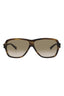20355 - Havana Havana Brown