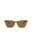 20009 - Brown Brown Brown