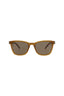 20009 - Brown Brown Brown