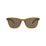 20009 - Brown Brown Brown