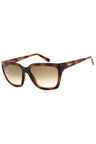 214 - TORTOISE/Green Brown
