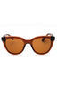 232 - TRANSPARENT BROWN/Brown