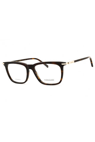 Salvatore Ferragamo SF3007 Eyeglasses