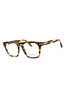 216 - STRIPED BROWN/clear demo lens