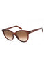 210 - Crystal Brown / Brown