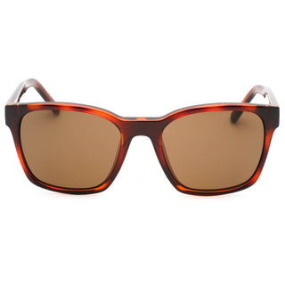 Salvatore Ferragamo SF959S Sunglasses TORTOISE/Brown-AmbrogioShoes
