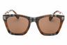 396673 - Brown Check / Dark Brown