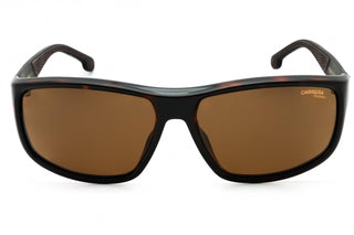 Carrera 8038/S Sunglasses Dark Havana  / Brown Polarized