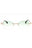 PERI10HS25MET0017654 - GOLD/GRADIENT GREEN