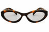20D50Q - Juniper Tortoise