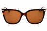 640 - RED TORTOISE/Brown
