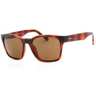 Salvatore Ferragamo SF959S Sunglasses TORTOISE/Brown