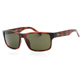 Salvatore Ferragamo SF960S Sunglasses TORTOISE / green