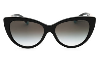 Tiffany 0TF4196 acetate Cat eye  Women's Sunglasses