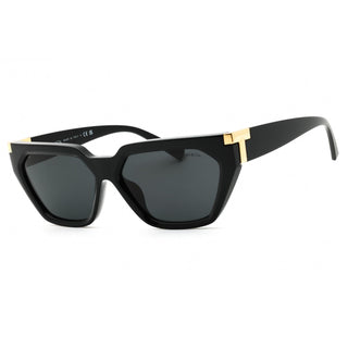 Tiffany 0TF4205U injected propionate Cat eye  Women's Sunglasses