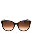 80153B - Havana/Brown Gradient