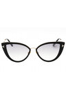 01C - shiny black  / smoke mirror