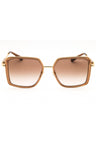 100213 - Transparent Brown