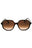 100213 - Tortoise / Brown Gradient