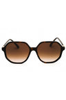 100213 - Tortoise / Brown Gradient