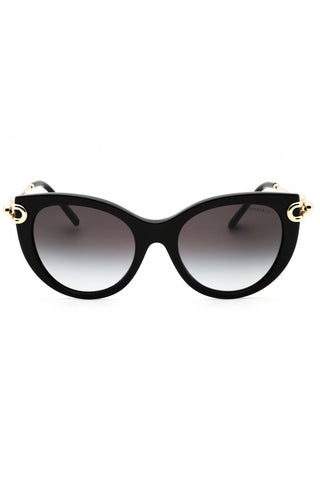 Tiffany 0TF4232 Sunglasses