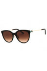 81343B - Havana Brown gradient