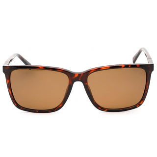 Timberland TB9280-H Sunglasses dark havana / brown polarized-AmbrogioShoes
