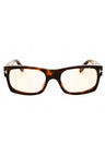 53E - blonde havana / brown