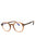 048 - shiny dark brown / clear/blue-light block lens