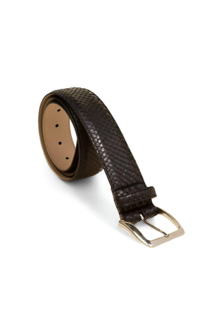 Tuzzi Uomo Python Belt - TZ1003