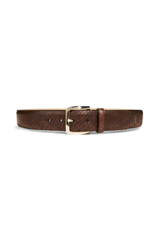 Tuzzi Uomo Python Belt - TZ1003