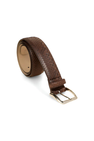 Tuzzi Uomo Python Belt - TZ1003