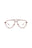 21181 - Brown Brown Transparent
