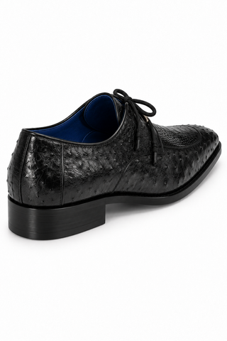 Belvedere Bolero Ostrich Derby