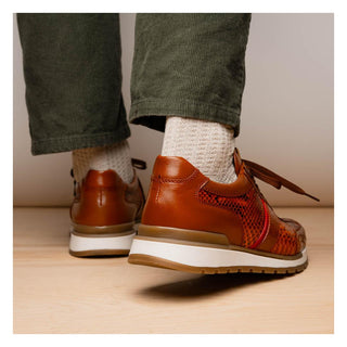 Marco Di Milano Brescia Men's Shoes Honey Genuine Snake Skin / Calf-Skin Leather Sneakers (MDM1124)