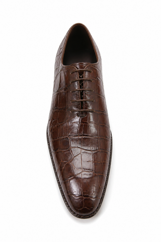 Caporicci Gregory 2542 Alligator Wholecut Oxford Brown, top view