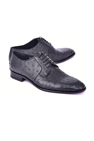 Corrente 6348 Ostrich Derby - Black