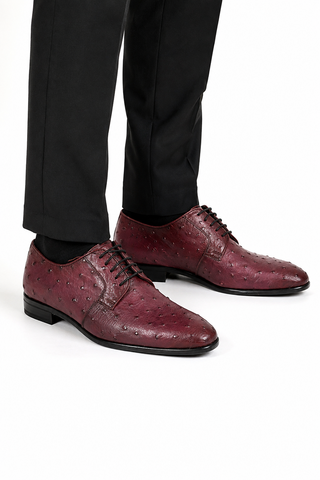 Corrente 6348 Burgundy Ostrich Derby 06 on-foot studio