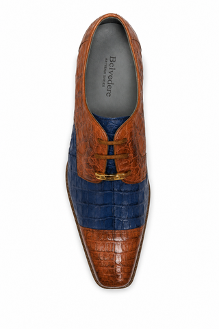 Dellamoda luxury image 05 · Belvedere Paolo II Crocodile Derby