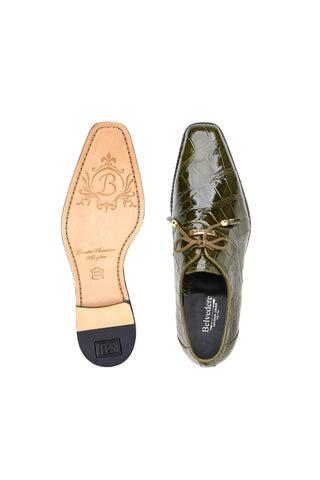 Belvedere Lago 14010 Alligator Derby