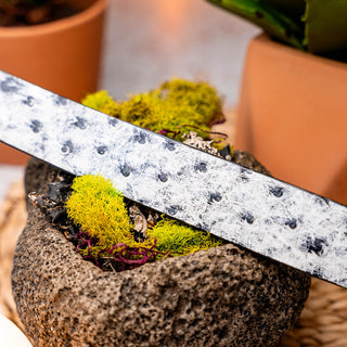 Marco Di Milano Domenico Men's Newspaper Genuine Ostrich Skin Belts (MDMB1047)