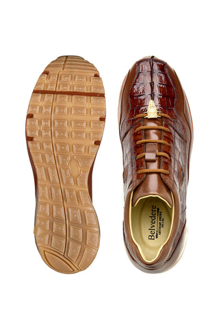 Belvedere Rex Crocodile & Leather Sneaker