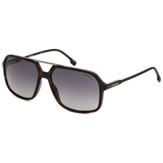 Carrera 229/S Sunglasses Havana / Grey sf pz