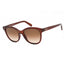 210 - Crystal Brown / Brown