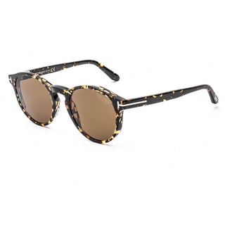 Tom Ford FT0591 Sunglasses Shiny Vintage Havana / Roviex Polarized