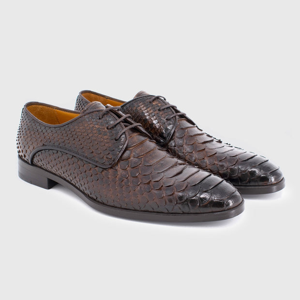 Maglieriapelle Sisli-2 Men's Shoes Brown Exotic Python Derby Oxfords (MG1368)-AmbrogioShoes