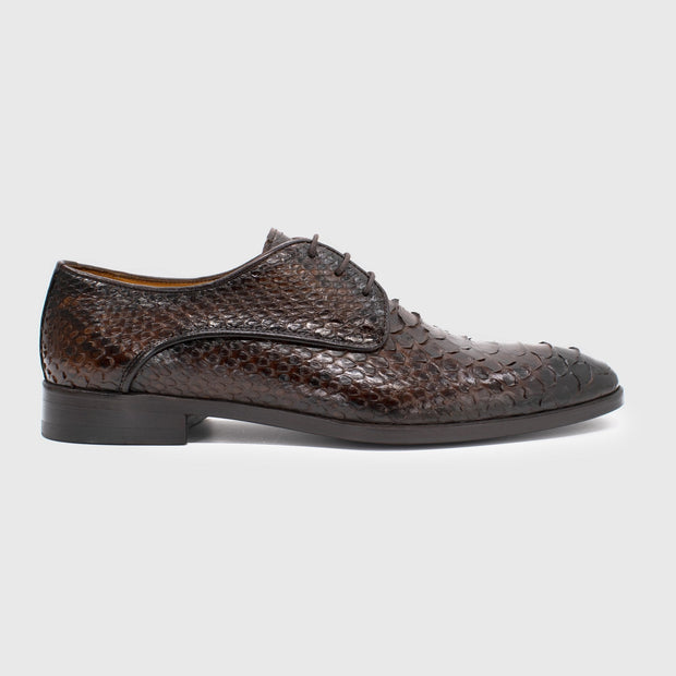 Maglieriapelle Sisli-2 Men's Shoes Brown Exotic Python Derby Oxfords (MG1368)-AmbrogioShoes